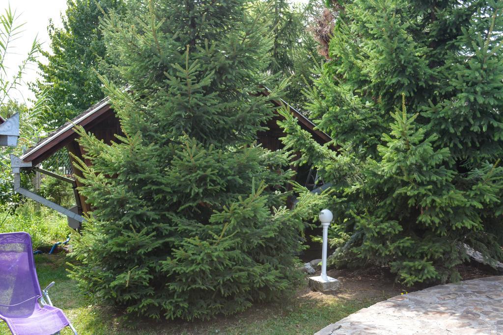 Camping Robinson Country Club Oradea Dış mekan fotoğraf