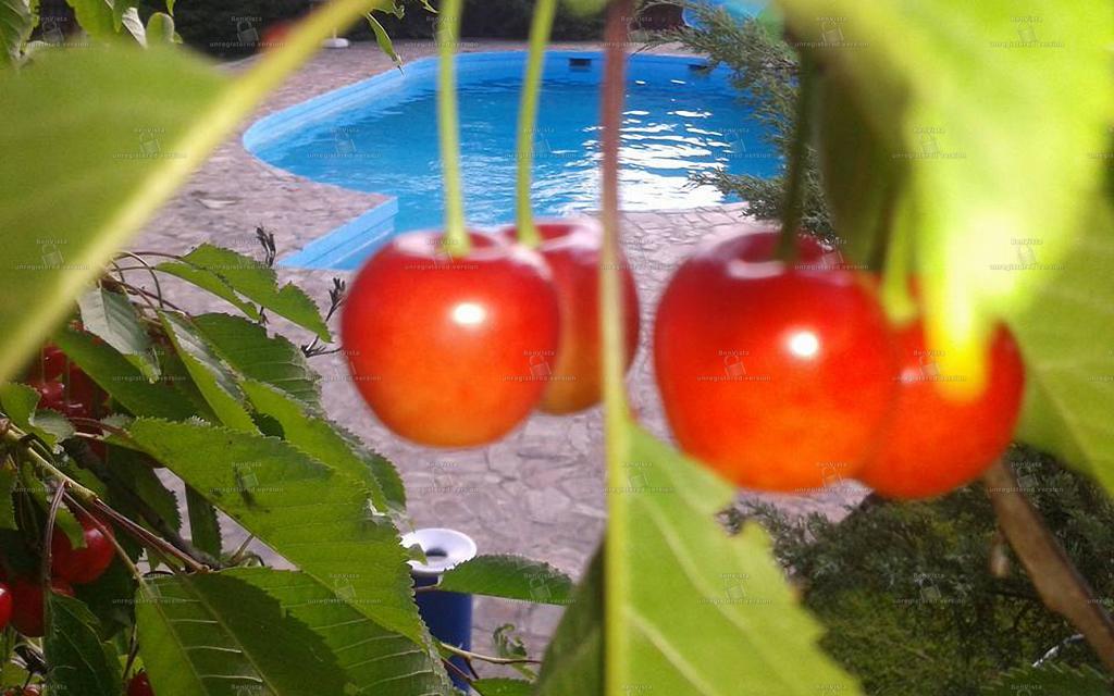 Camping Robinson Country Club Oradea Dış mekan fotoğraf